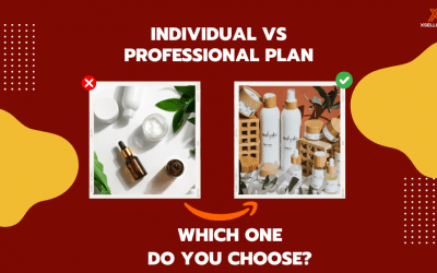 Choosing the Right Amazon Seller Plan: Individual vs. Professional